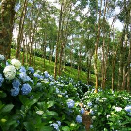 Qingshan Homestay, hotel v destinaci Taimali