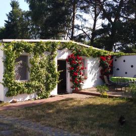 Ferienhäuschen, Hotel in Born