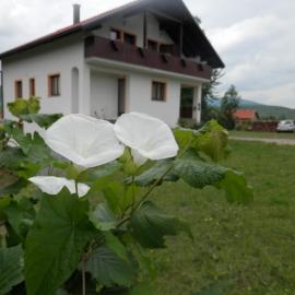 Guesthouse Matija – hotel w mieście Irinovac