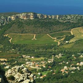 Casa-Albina-Corsica, Hotel in Patrimonio