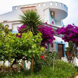 Jodi's Pension, hotel a Pitsidia