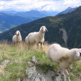 Pension Wilhelmer, hotel sa Sankt Lorenzen im Lesachtal
