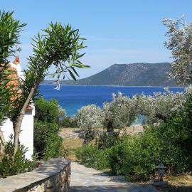 Christou Homes
