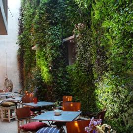 Kook Hotel Tarifa، فندق في تريفة