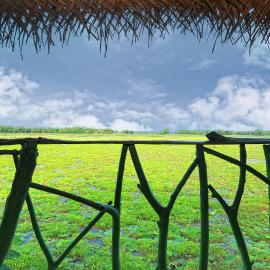 Lake Face Cabana