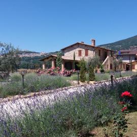 Sulla Strada di San Francesco