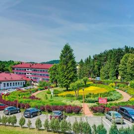 Sanatorium Dedal, hotel in Polańczyk