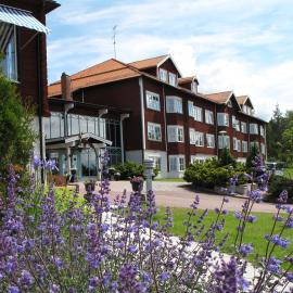 Dalecarlia Hotel & Spa, BW Premier Collection, hotel v destinácii Tällberg