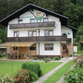 Haus Moser, hotel u gradu 'Wörschach'