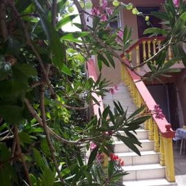 Apartman Tatjana