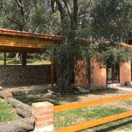 Olive Paradise: Ülgün şehrinde bir otel