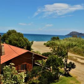 Wooden Beach House