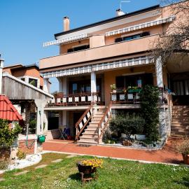 App Cerneka