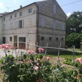 Casa Vacanze da Peppa, hotell sihtkohas Grottazzolina