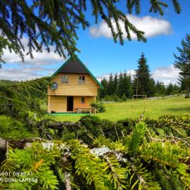Eco house