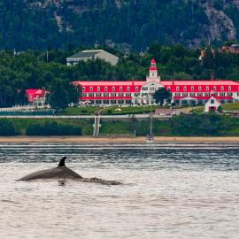 Hotel Tadoussac, hotel Tadoussacban