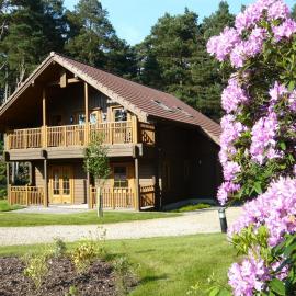 The Dorset Resort، فندق في East Stoke