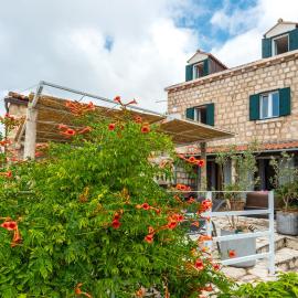 Villa Doris Mlini, hotel u gradu Mlini