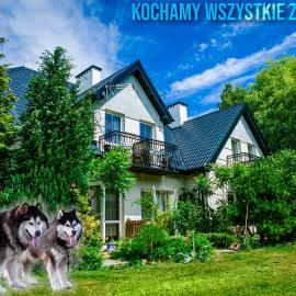 PSZCZÓŁKA, hotel en Białogóra