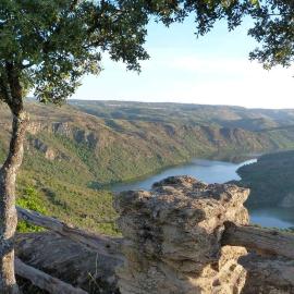 페르모세예에 위치한 호텔 Hostal Arribes del Duero