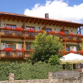 Pension Zur Alten Schmiede, hotel a Zwiesel