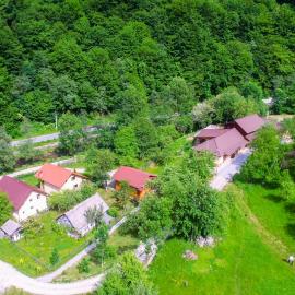 Pensiunea Lupul Dacic, hotel din Costeşti