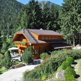 Chalet Styria, hotel u gradu 'Donnersbachwald'