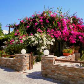 Dimitra Studios, hotel di Kastraki Naxou