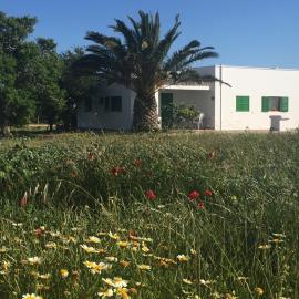 Es Magraner, hotel in Cala Saona