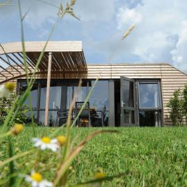 Chalet in Netherlands with Scenic Meadow Views