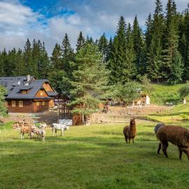 Statek U Rajmunda zemědělská farma, viešbutis mieste Velké Karlovice