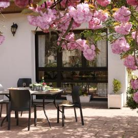 Les Chambres de La Maxe, hotel in La Maxe
