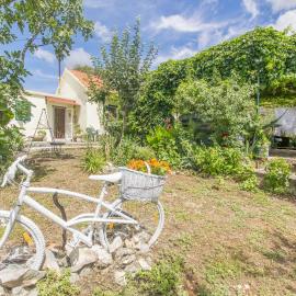 House Green Paradise