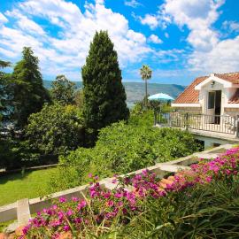 Guest House Saga