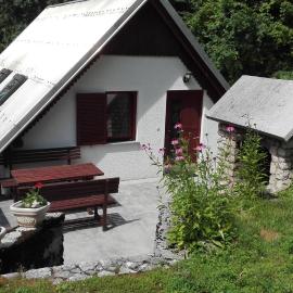Apartment Zorc, hotel in Trenta