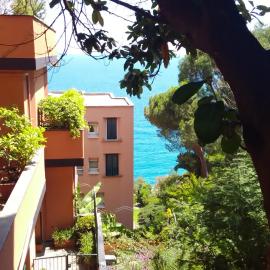 Casa delle mimose