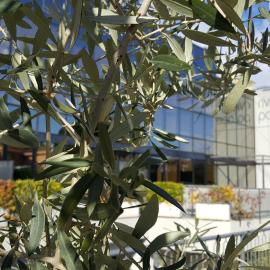 Riviera Palace Residence, hotel a Loano
