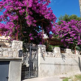 Apartments and Rooms Rosemari, Hotel in Mali Lošinj