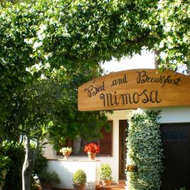 Bed and Breakfast Mimosa, hotel a Cascina