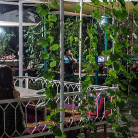 Sakura Guesthouse, hotel in Bishkek
