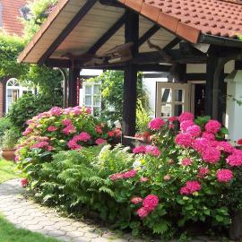 Hotel Café am Stift, hotel em Hessisch Oldendorf