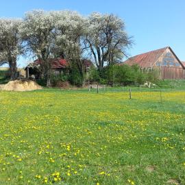 A-Sissy-Hof, hotelli kohteessa Bischofstetten