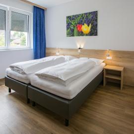 Hotel Rimo โรงแรมในOrt im Innkreis