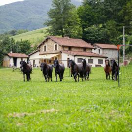 Agriturismo Carovane, hotel in Compiano
