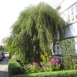 Husum में, होटल Ferienwohnungen Hebbel