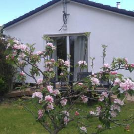 Murrevagh Mealog, Hotel in Tooreen