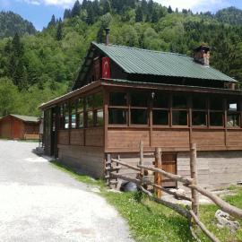 Kardelen Bungalov Evleri̇, hotel in Ayder Yaylasi