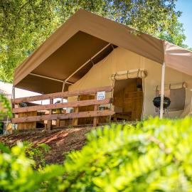 Sunflower Camping, hotell i Novigrad Istria