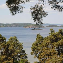 Anfasteröd Gårdsvik - Örnnästet, hotel in Ljungskile