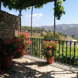 Casa da Seara, hotel in Casal de Loivos